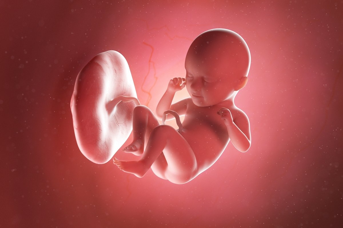 35 неделя 2 дня. Зародыш человека 15 недель. Эмбрион человека 15 недель. Бачадондан ташкари Хомиладорлик. Человеческий зародыш выкидыш.